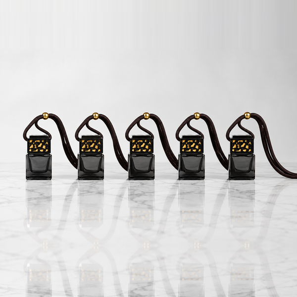 5 X Autoparfum Set